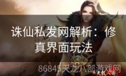诛仙私发网解析：修真界面玩法